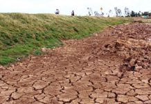 Chuyển đổi mô hình phát triển đồng bằng sông Cửu Long thích ứng với biến đổi khí hậu