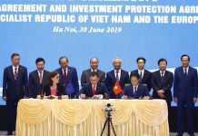 Hiệp định Thương mại tự do Việt Nam – EU: Tận dụng tối đa lợi ích