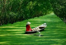 Phát triển du lịch đồng bằng sông Cửu Long theo hướng liên kết vùng