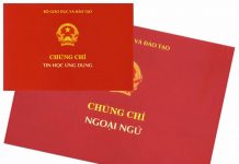 Hoàn thiện pháp luật về tiêu chuẩn, trình độ ngoại ngữ đối với cán bộ, công chức