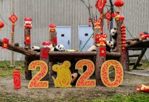 Người dân khắp thế giới chuẩn bị đón Tết