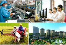 Một số giải pháp phát triển bền vững kinh tế Việt Nam trong giai đoạn mới