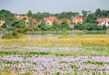 Về chế độ sở hữu đất đai ở nước ta hiện nay