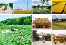 Cả nước chung sức xây dựng nông thôn mới với nhiều cách làm sáng tạo