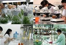 Các yếu tố ảnh hưởng đến hoạt động cải cách đơn vị sự nghiệp công lập ở Việt Nam hiện nay