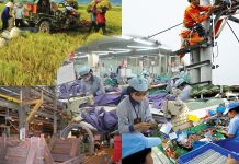 Nâng cao sức cạnh tranh của nền kinh tế từ việc cải thiện năng suất lao động