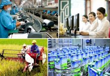 Vai trò tham vấn, phản biện của các bên liên quan trong hoạch định chính sách công