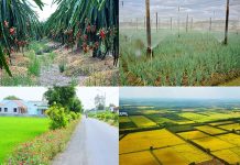 10 năm thực hiện xây dựng nông thôn mới ở tỉnh Long An