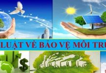 Hoàn thiện pháp luật về bảo vệ môi trường và ứng phó biến đổi khí hậu