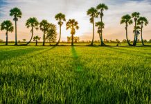 Đổi mới quản lý nhà nước về bồi dưỡng công chức cơ quan chuyên môn thuộc Ủy ban nhân dân tỉnh An Giang