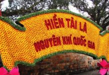 Giải pháp về khung chính sách quốc gia đối với người có tài năng