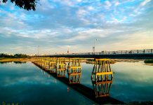 Giải pháp nâng cao chỉ số năng lực cạnh tranh cấp tỉnh (PCI) của tỉnh Quảng Ngãi