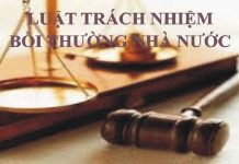 Trách nhiệm của Nhà nước trong thực thi và bảo vệ hiến pháp
