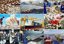 Niềm tin của xã hội đối với Chính phủ