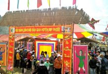 Huyện Tuy Phước phát huy tiềm năng, lợi thế để phát triển kinh tế – xã hội