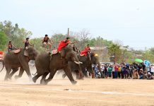 Đắk Lắk thực hiện chương trình mục tiêu quốc gia về xây dựng nông thôn mới