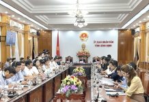 Bình Định thu hút đầu tư trong bối cảnh đại dịch Covid-19