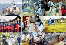 Về nguồn lực con người trong quá trình xây dựng nhà nước pháp quyền xã hội chủ nghĩa Việt Nam