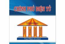 Giải pháp đẩy mạnh ứng dụng công nghệ thông tin trong thực hiện chính phủ điện tử
