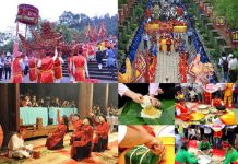 Pháp luật và thực tiễn bảo đảm quyền văn hóa ở Việt Nam