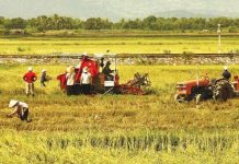 Phát triển nông nghiệp bền vững tại một số quốc gia và hàm ý cho Việt Nam