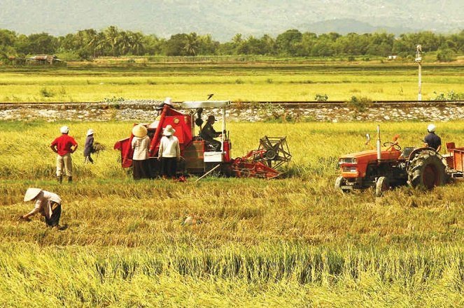 Phát triển nông nghiệp bền vững tại một số quốc gia và hàm ý cho Việt Nam | Tạp chí Quản lý nhà nước