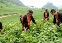 Tác động của đại dịch covid-19 đến giảm nghèo bền vững ở Việt Nam