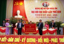 Xây dựng và phát triển chính quyền điện tử gắn liền với cải cách thủ tục hành chính tại huyện Hoài Ân, tỉnh Bình Định