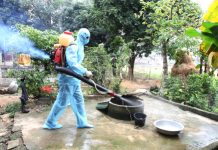 Quản lý nhà nước về công tác phòng, chống bệnh sốt xuất huyết ở quận Bình Tân