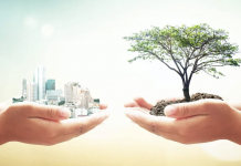 Vai trò của Nhà nước trong phát triển kinh tế gắn với thực hiện tiến bộ và công bằng xã hội