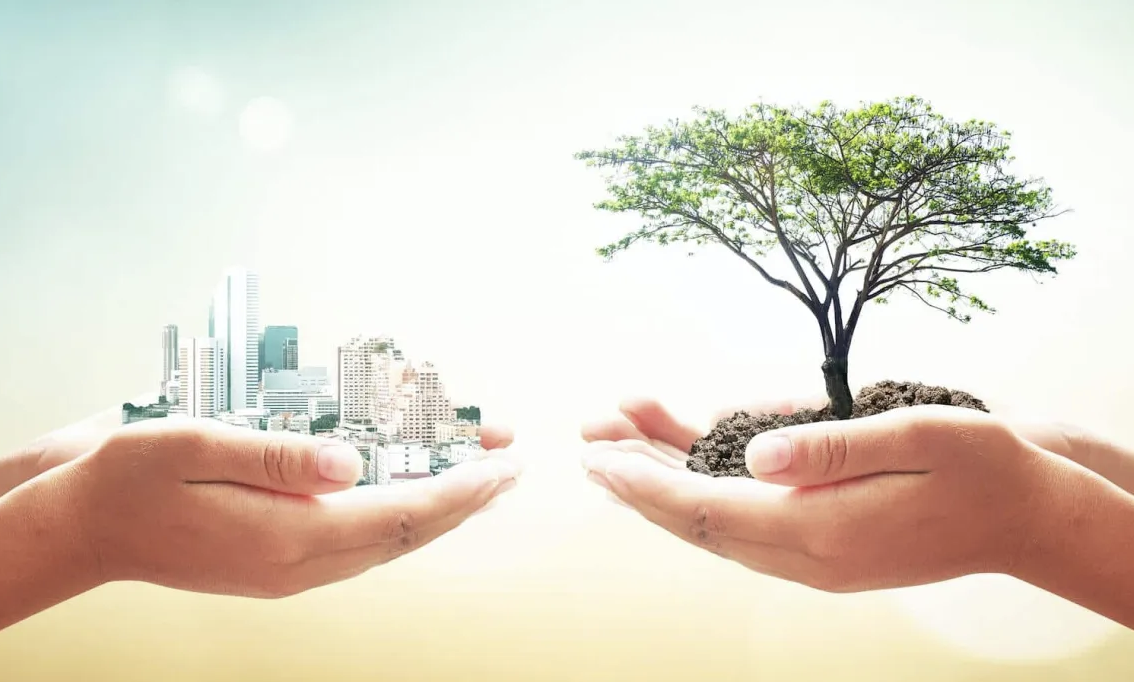 Vai trò của Nhà nước trong phát triển kinh tế gắn với thực hiện tiến bộ và công bằng xã hội | Tạp chí Quản lý nhà nước