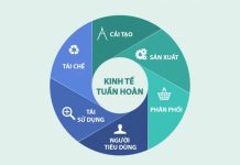 Nhận diện mô hình kinh tế tuần hoàn và định hướng chính sách