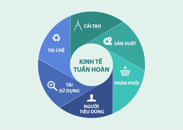 Khám phá với hơn 79 về mô hình của tuần hoàn tư bản hay nhất  Tin học Đông  Hòa