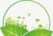 Quyền về môi trường trong pháp luật Việt Nam