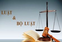 Các yếu tố ảnh hưởng đến tổ chức thi hành pháp luật của vùng văn hoá hiện nay