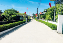 Nâng cao chất lượng đội ngũ cán bộ, công chức cấp xã đáp ứng yêu cầu xây dựng nông thôn mới tại huyện Cẩm Xuyên, tỉnh Hà Tĩnh