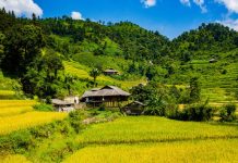 Xu hướng xây dựng và phát triển chính quyền điện tử tại một số tỉnh miền núi phía Bắc