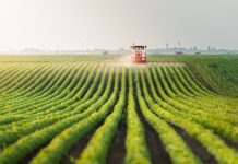 Chính sách phát triển nông nghiệp xanh của một số quốc gia châu Á và hàm ý cho Việt Nam