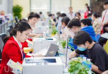 Chế độ hợp đồng đối với một số loại công việc trong cơ quan hành chính và đơn vị sự nghiệp công lập