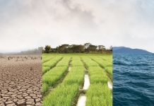 Tiếp tục hoàn thiện pháp luật về biến đổi khí hậu ở Việt Nam trên cơ sở thực thi các cam kết quốc tế