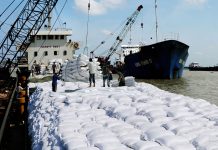 Phân tích các yếu tố tác động đến kim ngạch xuất khẩu gạo Việt Nam – tiếp cận theo mô hình trọng lực