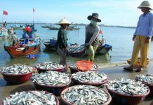 Nam Định khơi dậy tiềm năng kinh tế ven biển để phát triển kinh tế – xã hội