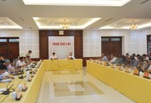 Gia Lai thực hiện hiệu quả các mục tiêu phát triển kinh tế – xã hội