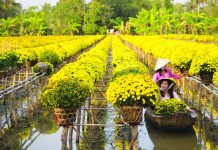 Nâng cao chất lượng quản lý nhà nước về làng nghề ở tỉnh Đồng Tháp