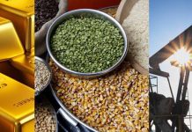 Phát triển chuỗi giá trị toàn cầu dưới góc nhìn của kinh tế chính trị Mác – Lênin cho hàng hóa nông sản