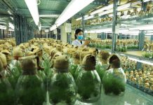 Xây dựng đội ngũ nhân lực đổi mới sáng tạo đòi hỏi sự đầu tư vào quá trình đào tạo và phát triển liên tục