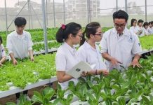 Phát triển nguồn nhân lực cho ngành Nông nghiệp công nghệ cao ở Việt Nam trong thời kỳ hội nhập kinh tế quốc tế