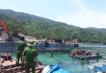 Tình hình tội phạm trong lĩnh vực du lịch, dịch vụ và các biện pháp phòng ngừa của lực lượng cảnh sát môi trường Công an thành phố Đà Nẵng