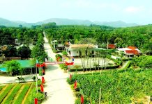 Vận dụng tư tưởng Hồ Chí Minh trong xây dựng chính quyền địa phương ở đô thị