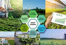 Một số mô hình chuyển đổi số nông thôn trên thế giới và kinh nghiệm cho Việt Nam